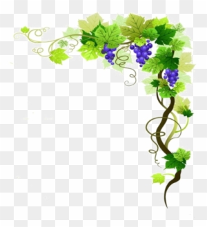 Vine - Grape Vine Border Png - Free Transparent PNG Clipart Images Download