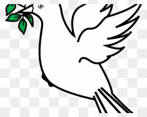 Dove With Olive Branch Animal Free Black White Clipart - Peace Dove ...