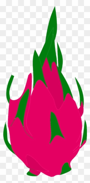 dragon fruit clipart