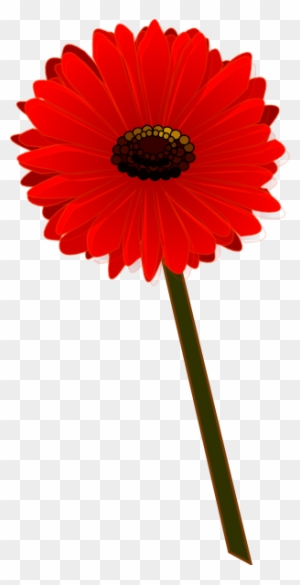 Gerbera Roja Bonita Clip Art At Clker - Gerbera Roja Png - Free Transparent  PNG Clipart Images Download