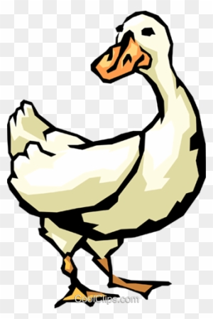 Duck Clipart Transparent Png Clipart Images Free Download Page 27 Clipartmax - evil duck mesh roblox