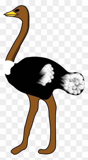 ostrich eyeball clipart