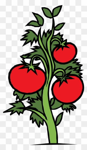 tomato plant silhouette