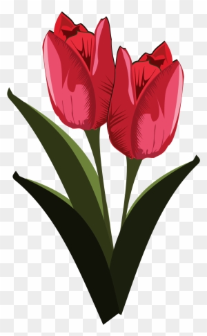 Tulip Free To Use Clip Art - Public Domain Free Clip Art Flowers