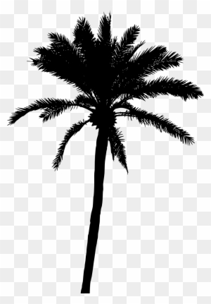 20 Palm Tree Silhouette Vol - Black Palm Tree Png - Free Transparent ...