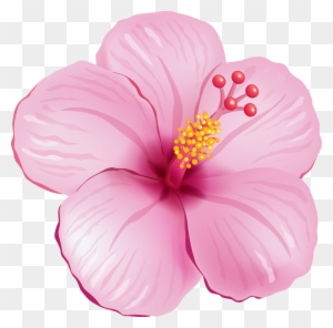 Tela - Tropical Flowers Png - Free Transparent PNG Clipart Images Download