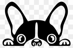 41+ 2 french bulldog clipart transparent