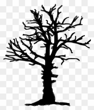 Tree With Branches Drawing - Free Transparent PNG Clipart Images Download