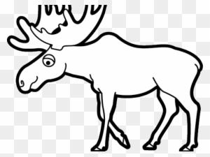 Moose Clipart Black And White Transparent Png Clipart Images Free Download Clipartmax