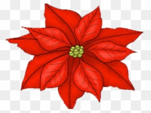 poinsettia flower clipart image