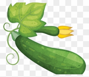 courgette zucchini free transparent png clipart images download free transparent png clipart images