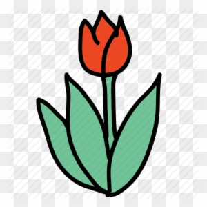 Tulipa Humilis Free Transparent Png Clipart Images Download