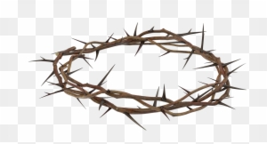 Download Crown Of Thorns Clipart Transparent Png Clipart Images Free Download Clipartmax