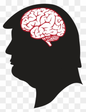 Outline Of Brain Clip Art At Clker - Brain Black And White ...