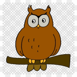 bildungscluster owl clipart