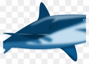Baby Shark Clipart Transparent Png Clipart Images Free Download Clipartmax