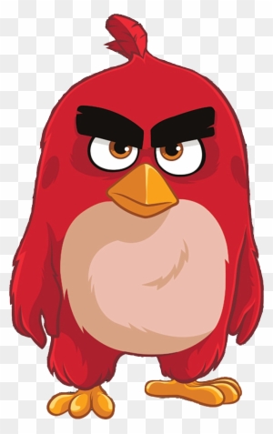 Image Abmovieredzazzle Png Birds Wiki Fandom Powered - Red Angry Birds Wikia  - Free Transparent PNG Clipart Images Download