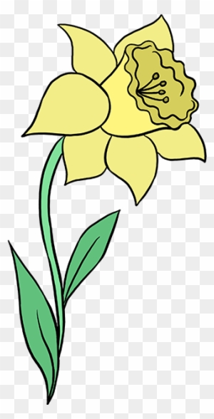 Picture Free Library Daffodils Drawing Realistic - Шаблон Нарцисс ...