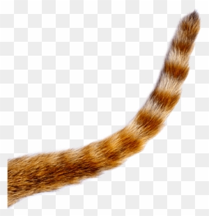 Orange Cat Tail Roblox