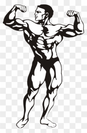 muscle body clipart template