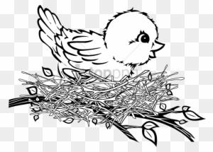 Jpg Library Chicken Nest Clipart - Desenho De Galinha Colorido PNG Image
