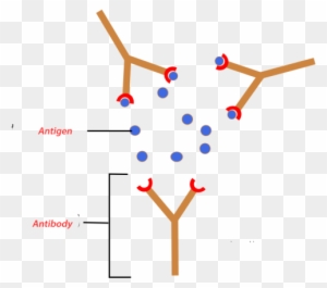 antigen clipart sun