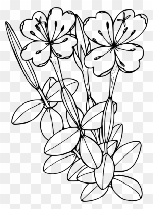 Flower Clip Art Coloring Pages Transparent Png Clipart