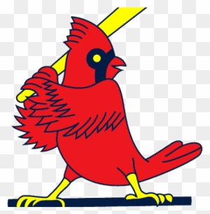 Free St Louis Cardinal Logos, Download Free Clip Art, Free Clip Art on  Clipart Library