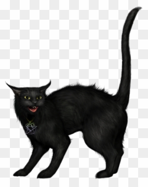 Chat Halloween 3 Png Black Cat Free Transparent Png Clipart Images Download