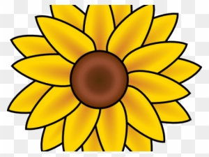 How to Draw a Sunflower  Step by Step Drawing for Kids