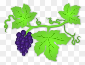 leaf vine clip art