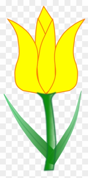 Yellow Tulip Clipart, Transparent PNG Clipart Images Free Download ...