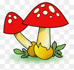 colorful mushroom clipart free