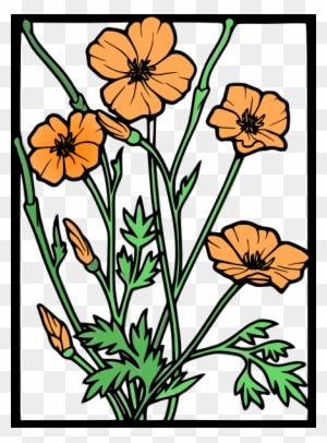 california state flower clipart pictures