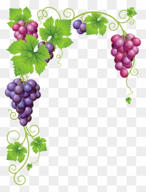 vineyard grapes clipart black