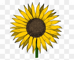 Free Free 304 Clipart Sunflower Free SVG PNG EPS DXF File