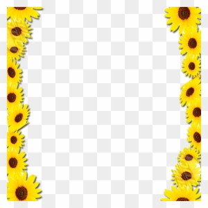 Common Sunflower Borders And Frames Picture Frames - Yellow Flowers ...