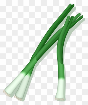 Green Onion Clipart Black