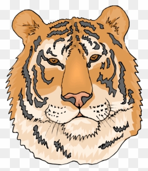 Yellow Tiger Profile Icon Free PNG Image｜Illustoon