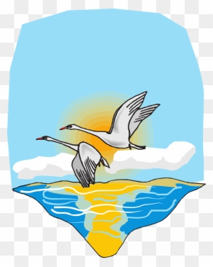 dead bird clipart flying