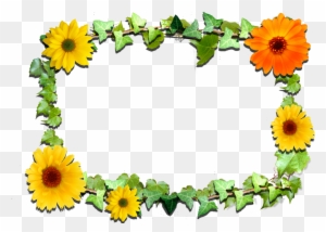 Free Free 103 Transparent Background Stem Sunflower Clipart SVG PNG EPS DXF File