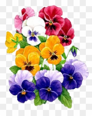 Flower 65t - Laminas Nuevas Flores - Free Transparent PNG Clipart ...