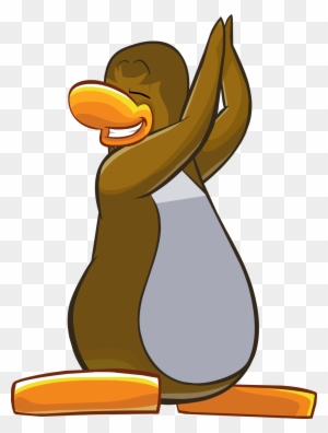 Ninja Progress, Club Penguin Wiki