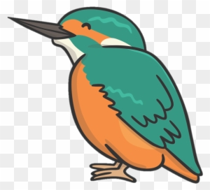 Kingfisher Kingfisher Free Transparent Png Clipart Images Download