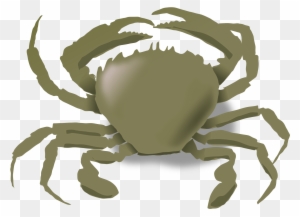 Crabs, Summer, Beach, Animals, Crab, Sea Life, Food, - Animals Live In Water And Land