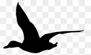flying duck clip art