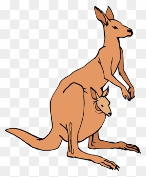 Kangaroo Clipart, Transparent PNG Clipart Images Free Download - ClipartMax