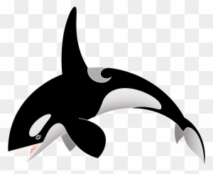 Whale Black And White Cartoon Killer Whale Free Download - Cartoon ...