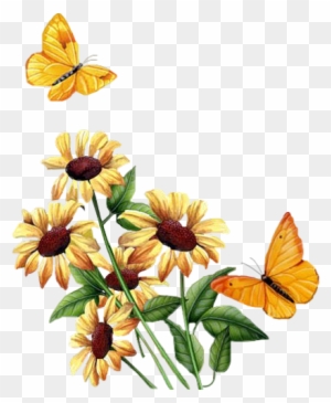 Flower 25 - Animated Flowers And Butterflies Gif