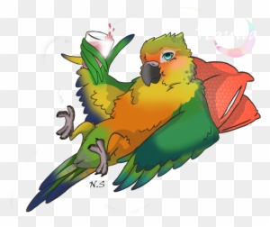 Tequila Sun Conure By Nonoloup On Deviantart Cute Bird - Cartoon Conure